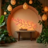Тт -7 персиковая тростинка 72LED lights, управляемая USB телекинез 8, компания bokkai arts co Application Scenario